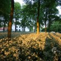 IMG_393072