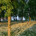 IMG_393073