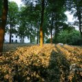 IMG_393076