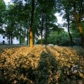 IMG_393078
