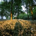 IMG_393079