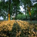 IMG_393080