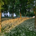 IMG_393083
