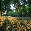 IMG_393084