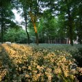 IMG_393087