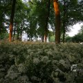 IMG_393090