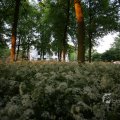 IMG_393091
