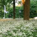 IMG_393092