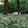 IMG_393094