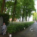IMG_393097