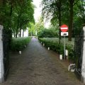 IMG_395082