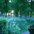 IMG_395091