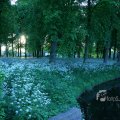 IMG_395093