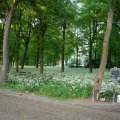 IMG_395102