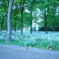 IMG_395103