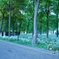 IMG_395104