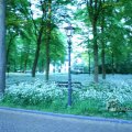 IMG_395105