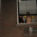 IMG_395211