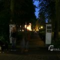 IMG_395216