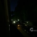 IMG_395313