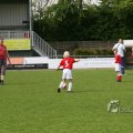 IMG_394175