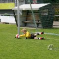 IMG_394207