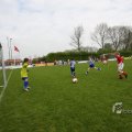 IMG_394641