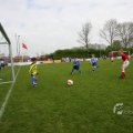 IMG_394642