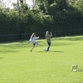 IMG_393167