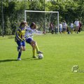 IMG_393181