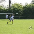 IMG_393184