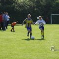 IMG_393187
