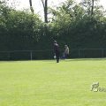 IMG_393194