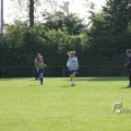 IMG_393203
