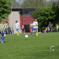 IMG_393310