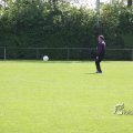 IMG_393368