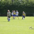 IMG_393371