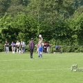 IMG_393377