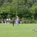 IMG_393378