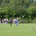 IMG_393379