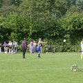IMG_393380