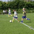 IMG_393393