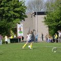 IMG_393395