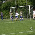 IMG_393398