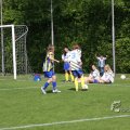 IMG_393421