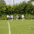 IMG_393450