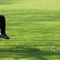IMG_393454