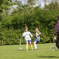 IMG_393517