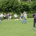 IMG_393733