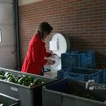 IMG_398470